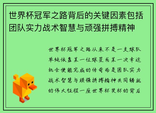 世界杯冠军之路背后的关键因素包括团队实力战术智慧与顽强拼搏精神